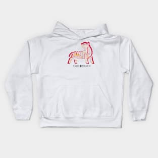 Anala Kids Hoodie